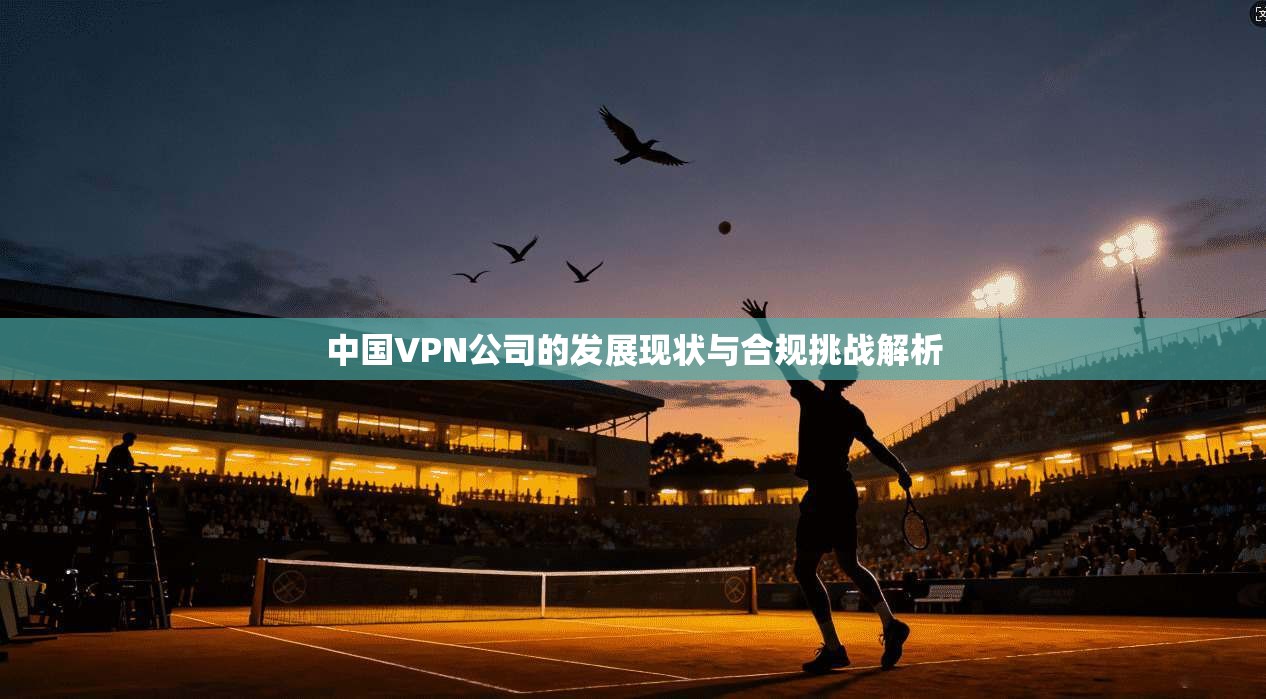中国VPN公司的发展现状与合规挑战解析
