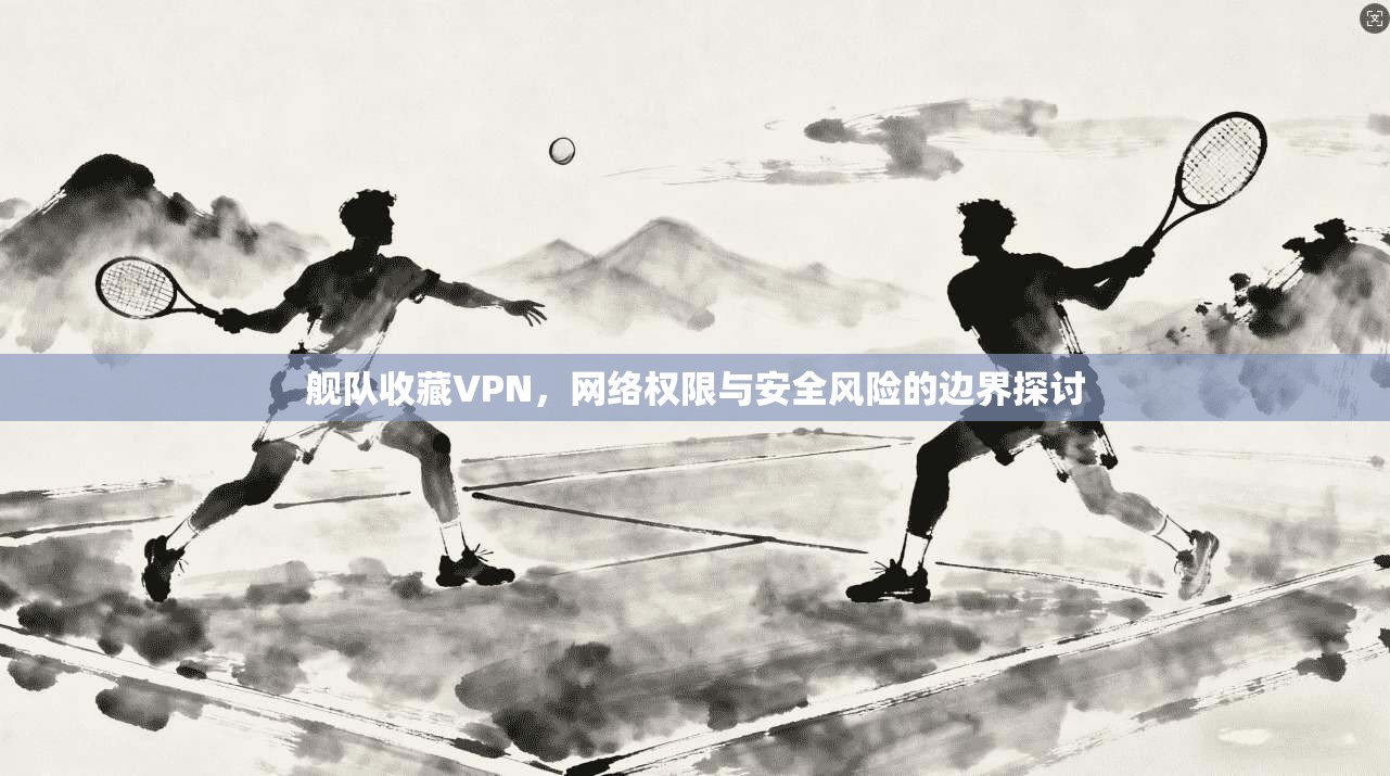 舰队收藏VPN，网络权限与安全风险的边界探讨