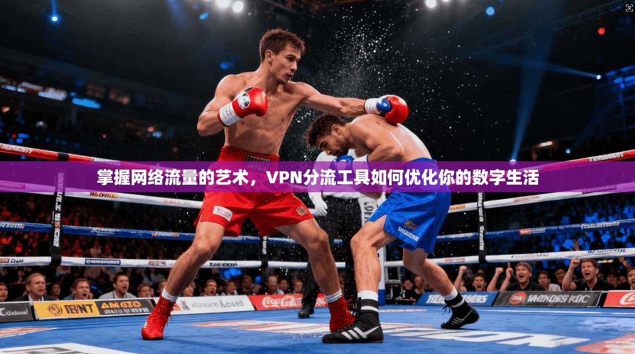 掌握网络流量的艺术，VPN分流工具如何优化你的数字生活