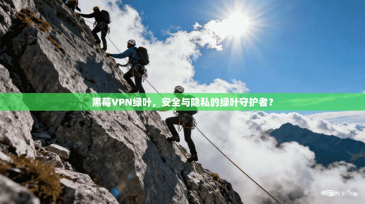 黑莓VPN绿叶，安全与隐私的绿叶守护者？