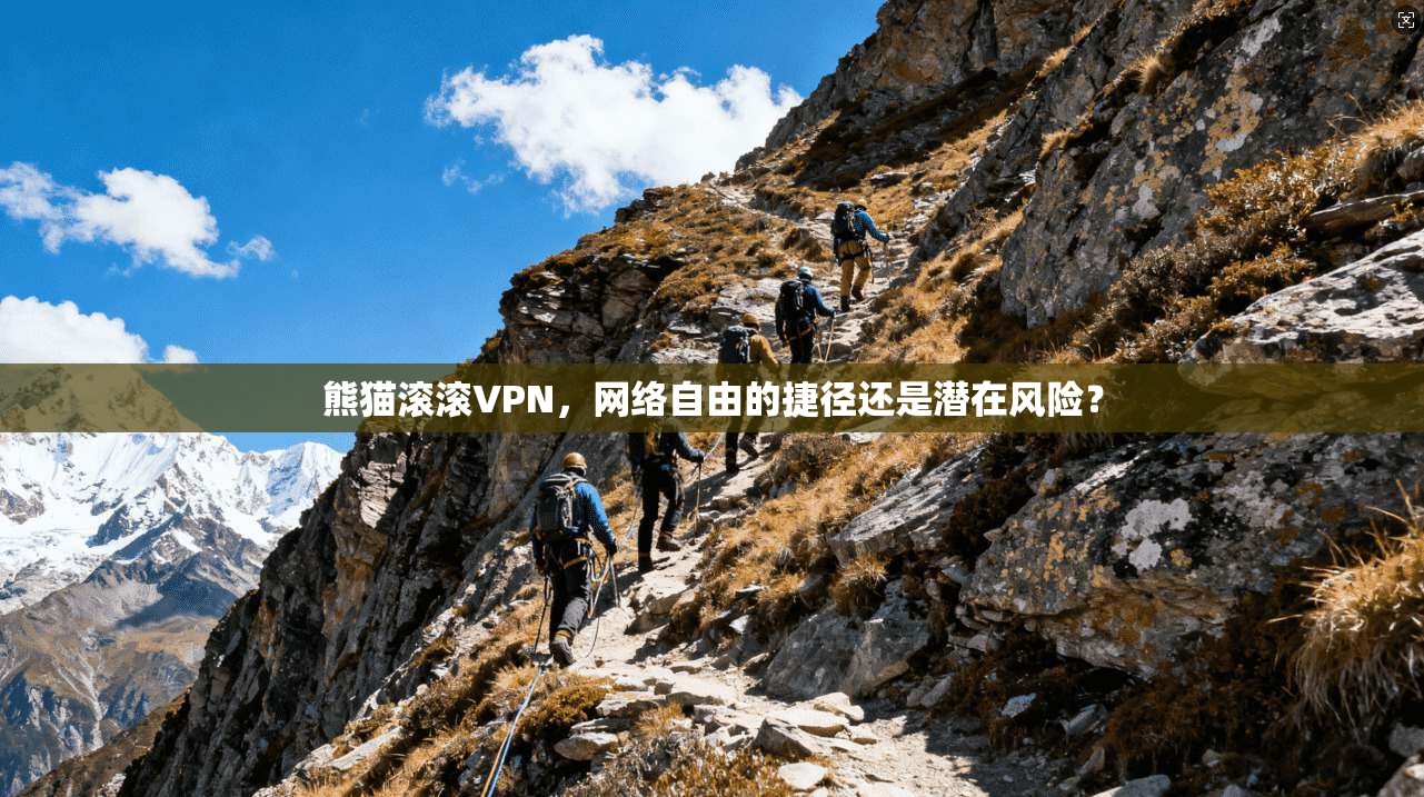 熊猫滚滚VPN，网络自由的捷径还是潜在风险？