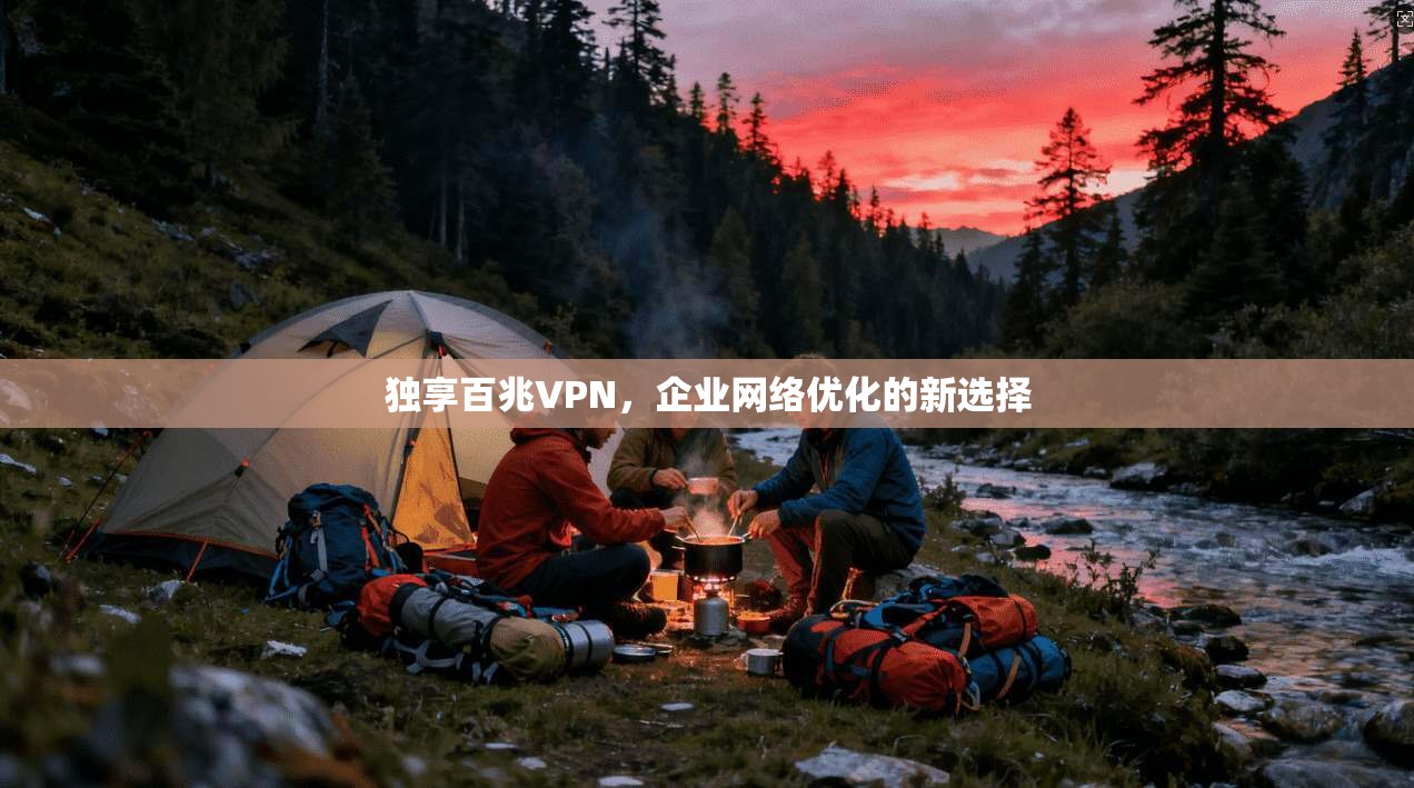 独享百兆VPN，企业网络优化的新选择