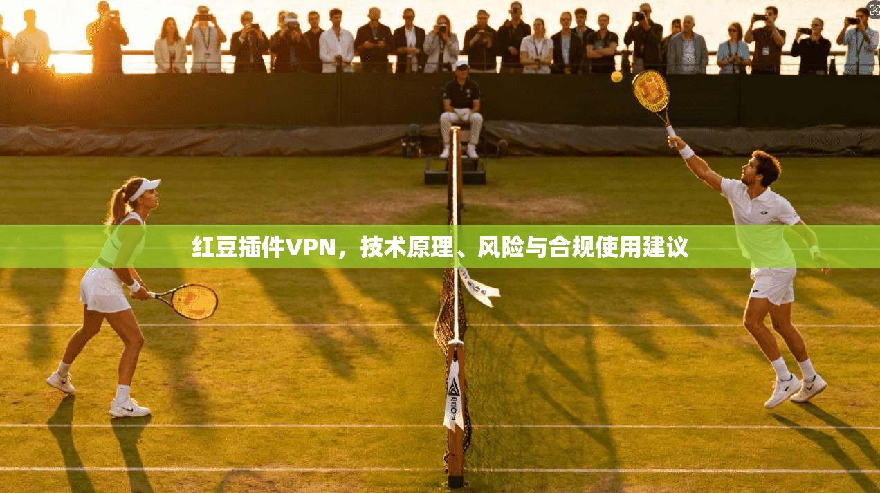 红豆插件VPN，技术原理、风险与合规使用建议