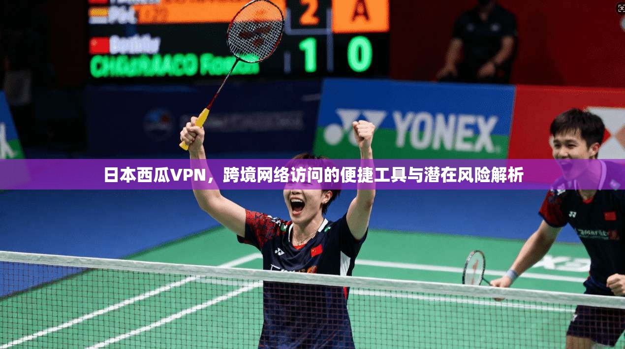 日本西瓜VPN，跨境网络访问的便捷工具与潜在风险解析