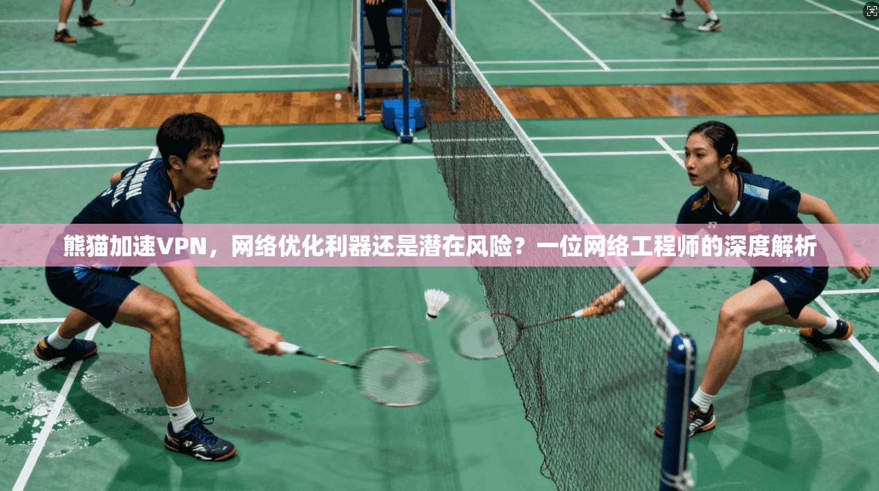 熊猫加速VPN，网络优化利器还是潜在风险？一位网络工程师的深度解析