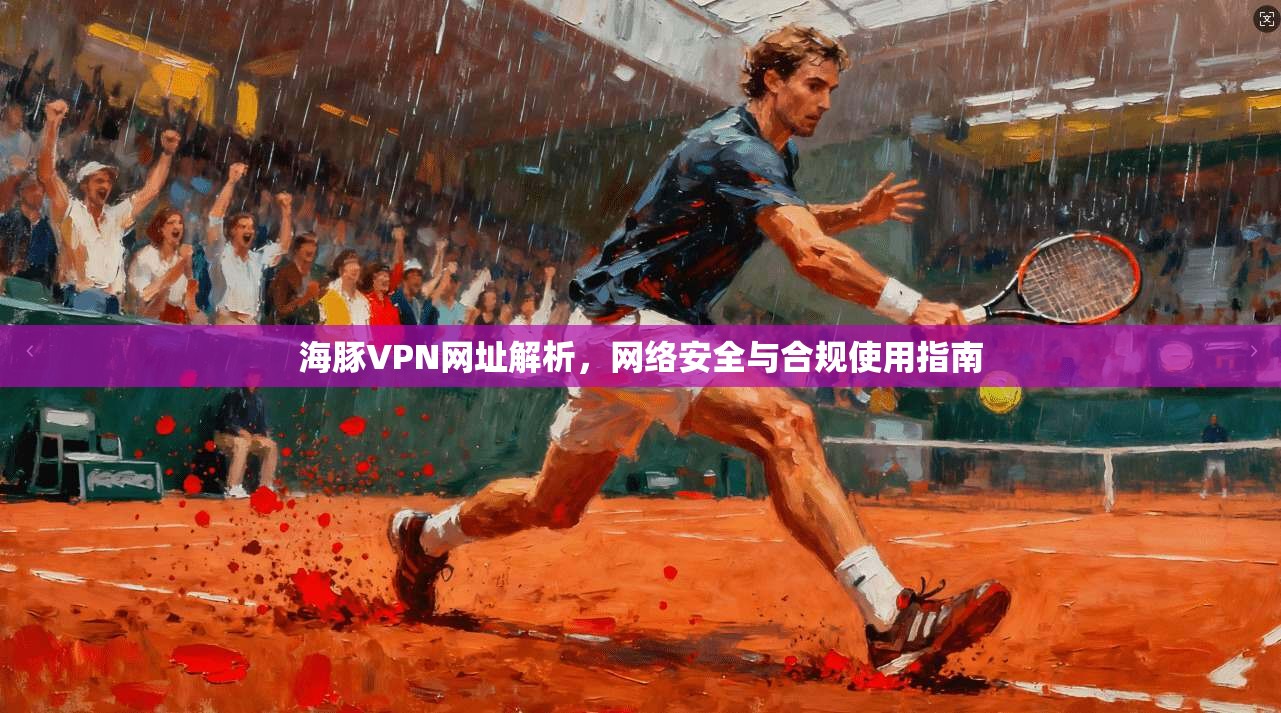 海豚VPN网址解析，网络安全与合规使用指南