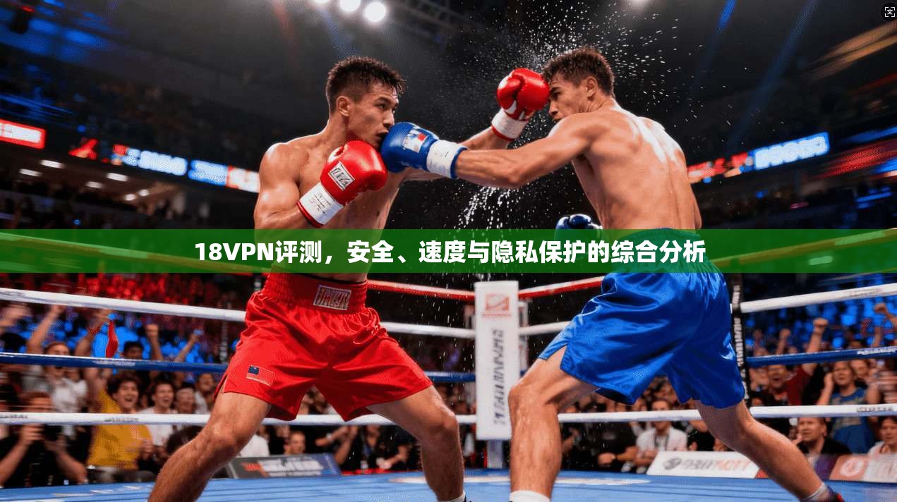 18VPN评测，安全、速度与隐私保护的综合分析