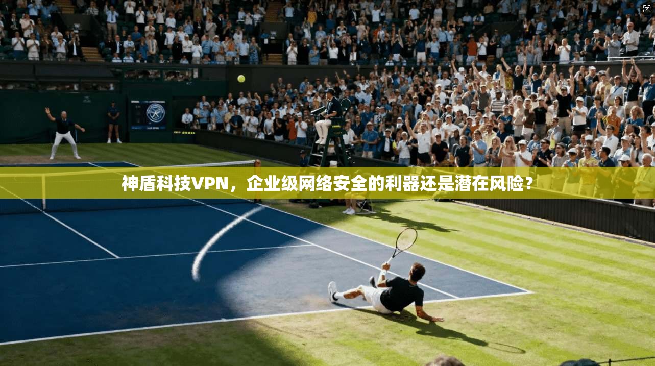 神盾科技VPN，企业级网络安全的利器还是潜在风险？