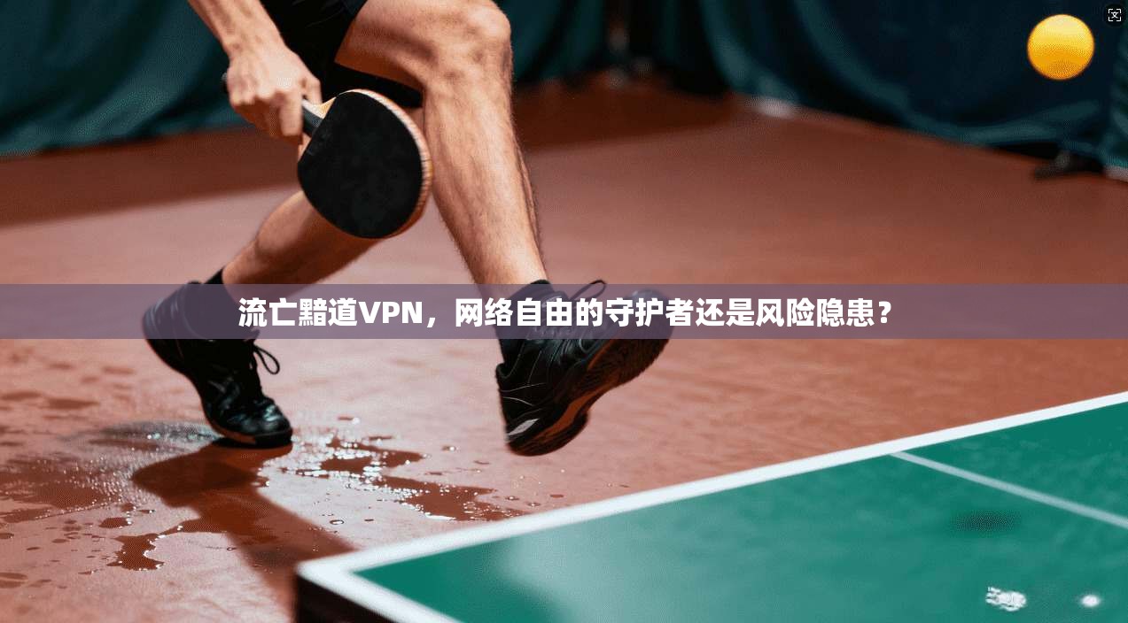 流亡黯道VPN，网络自由的守护者还是风险隐患？