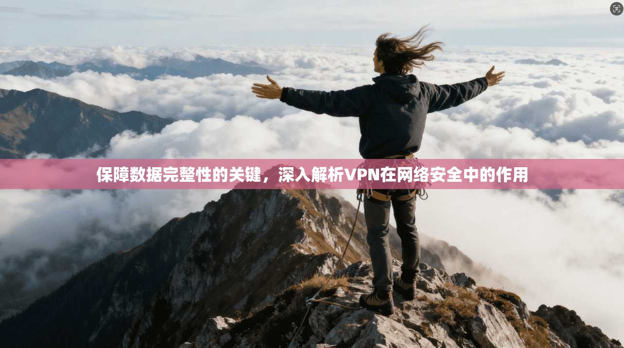 保障数据完整性的关键，深入解析VPN在网络安全中的作用