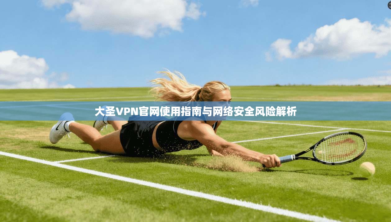 大圣VPN官网使用指南与网络安全风险解析