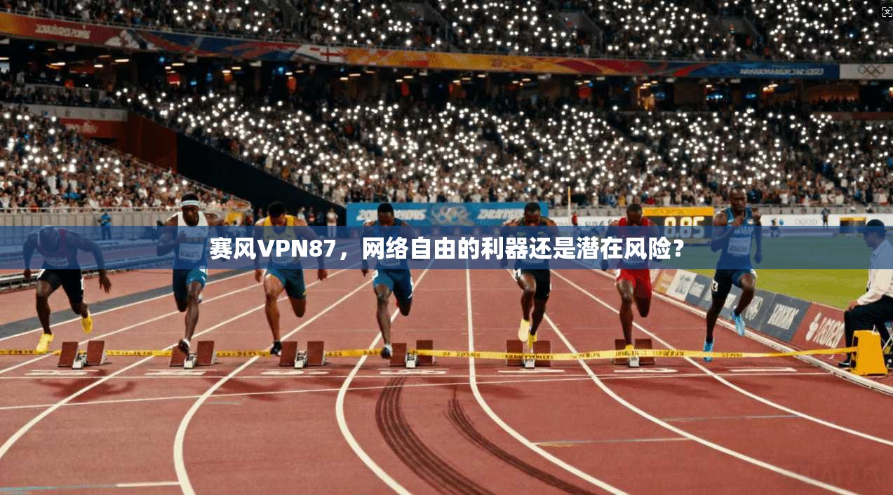 赛风VPN87，网络自由的利器还是潜在风险？