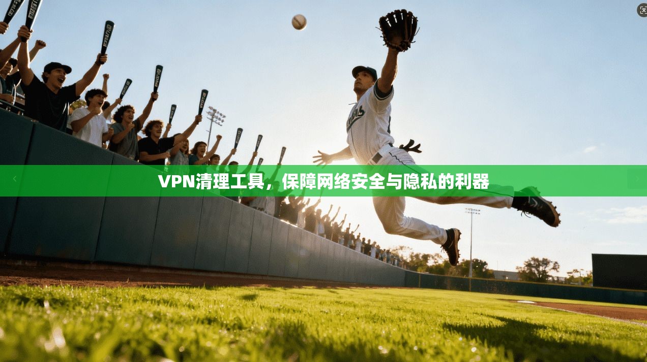 VPN清理工具，保障网络安全与隐私的利器