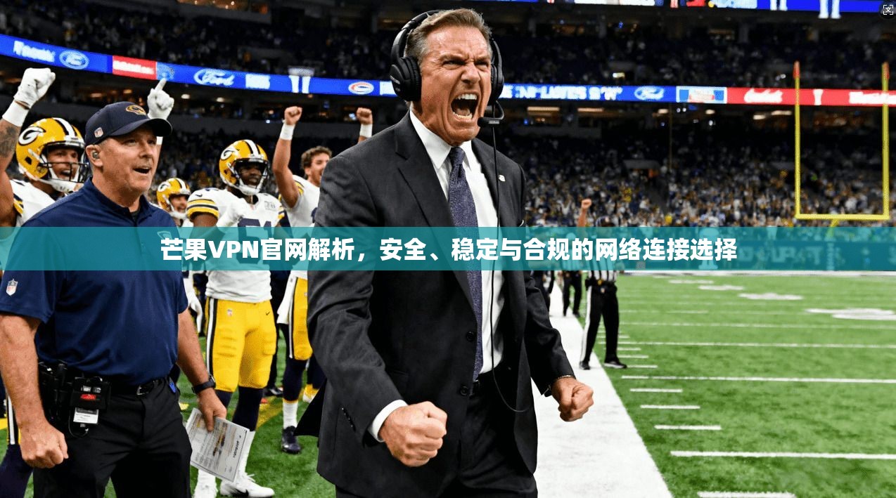 芒果VPN官网解析，安全、稳定与合规的网络连接选择