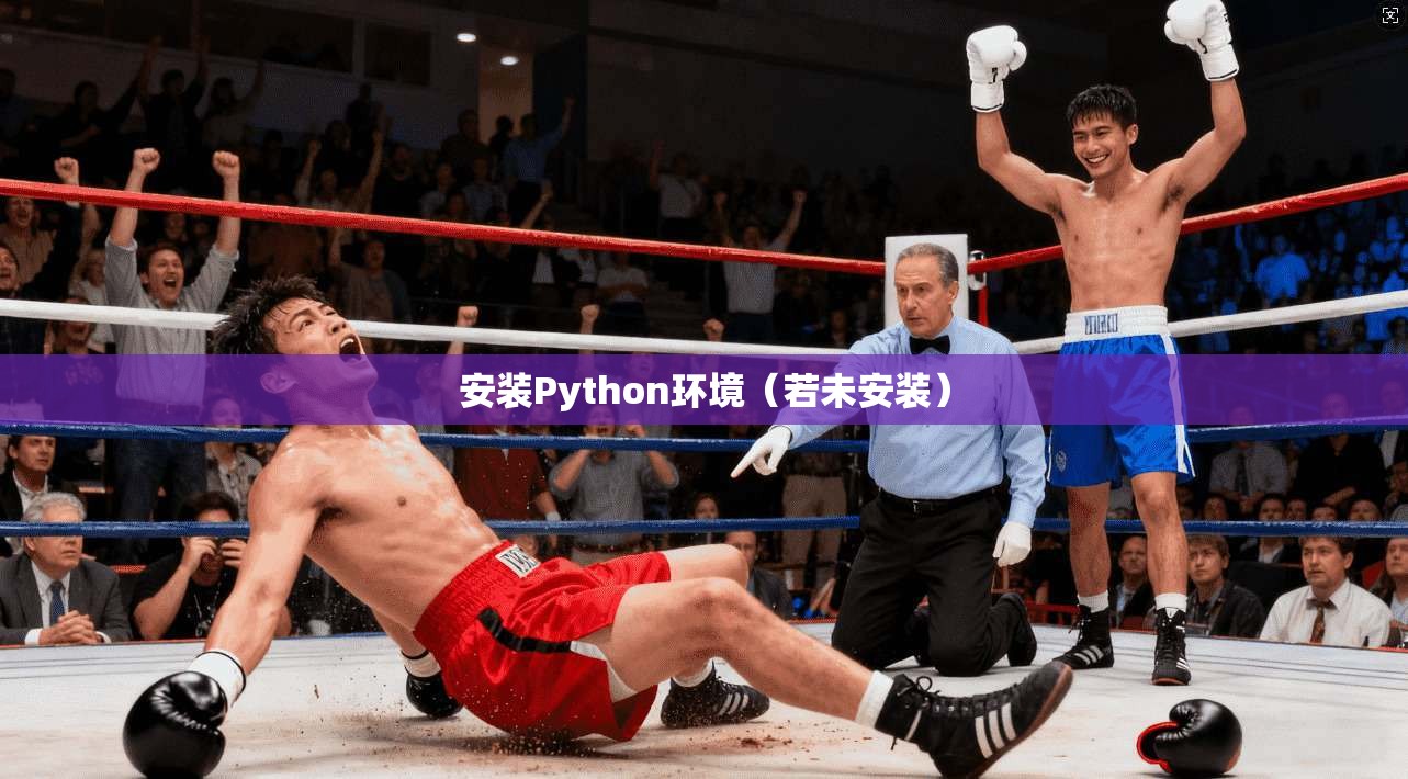 安装Python环境（若未安装）