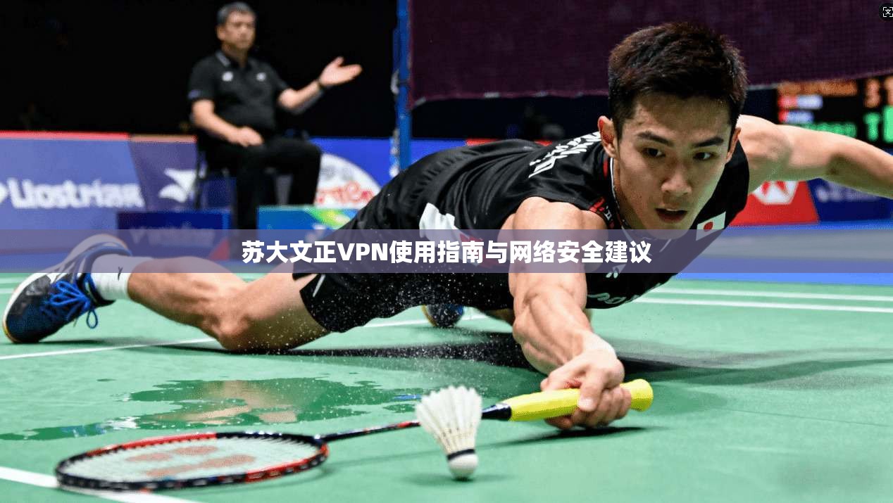 苏大文正VPN使用指南与网络安全建议