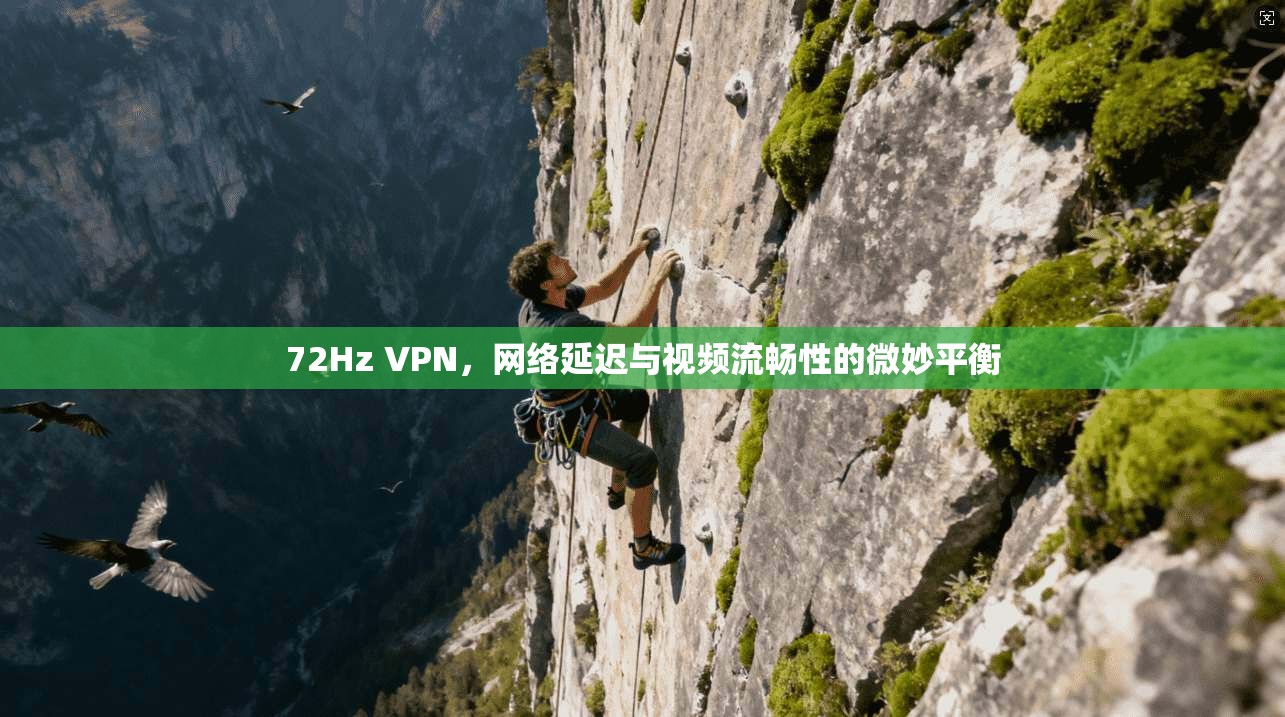 72Hz VPN，网络延迟与视频流畅性的微妙平衡