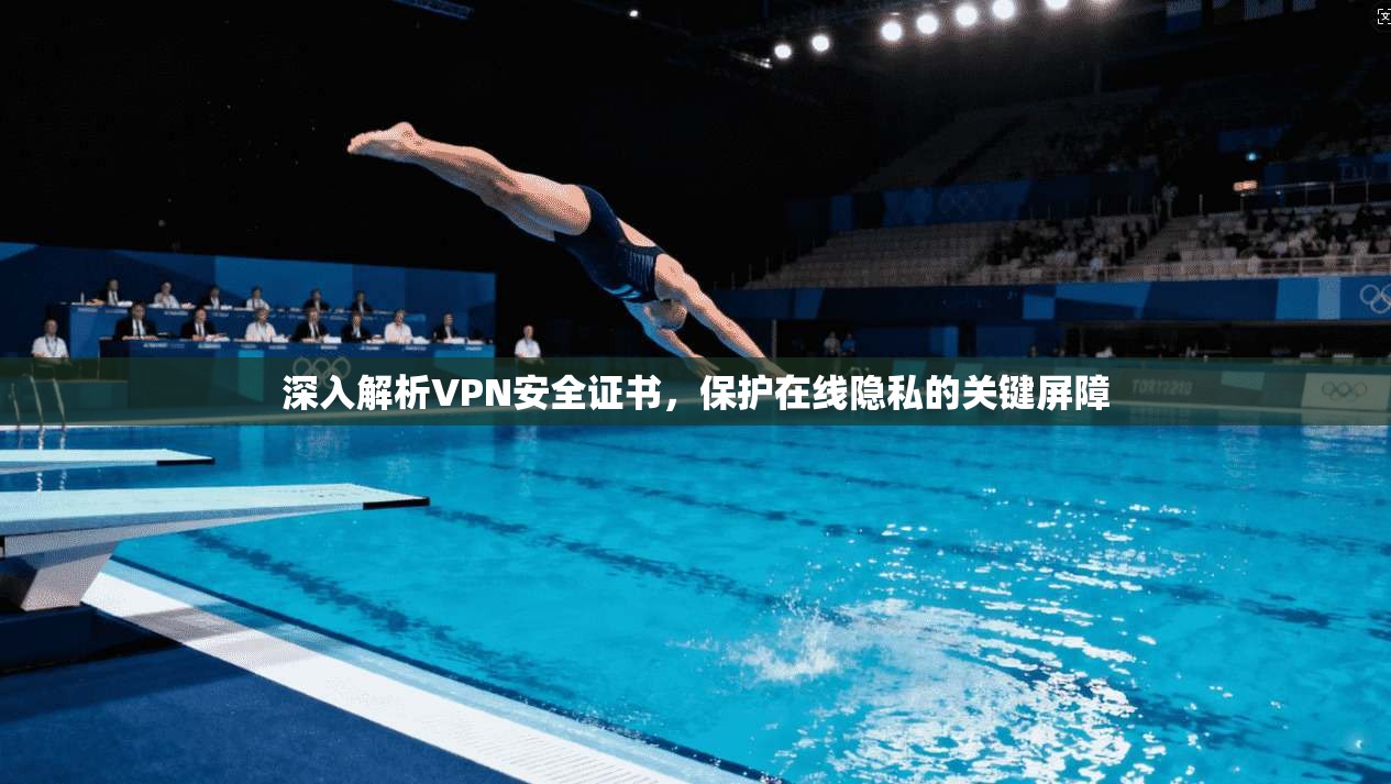 深入解析VPN安全证书，保护在线隐私的关键屏障