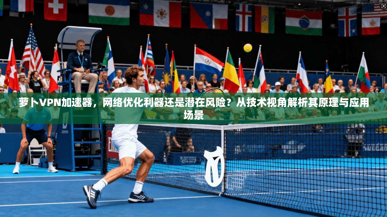 萝卜VPN加速器，网络优化利器还是潜在风险？从技术视角解析其原理与应用场景