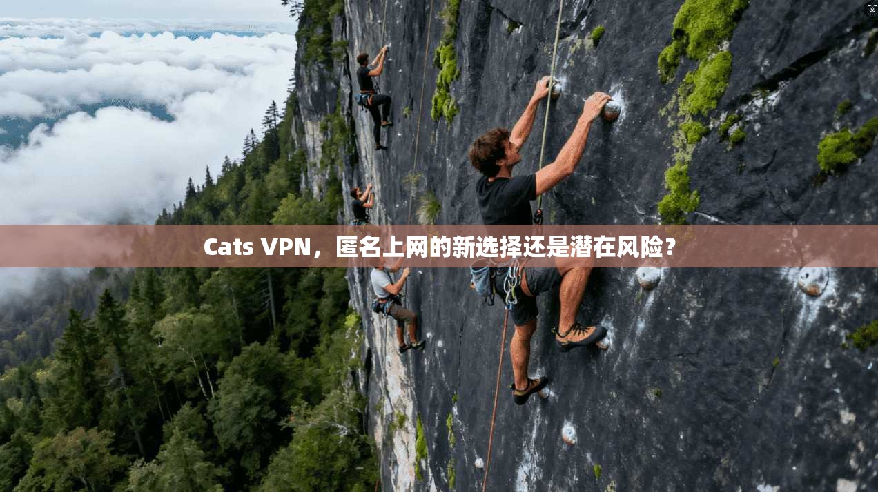 Cats VPN，匿名上网的新选择还是潜在风险？