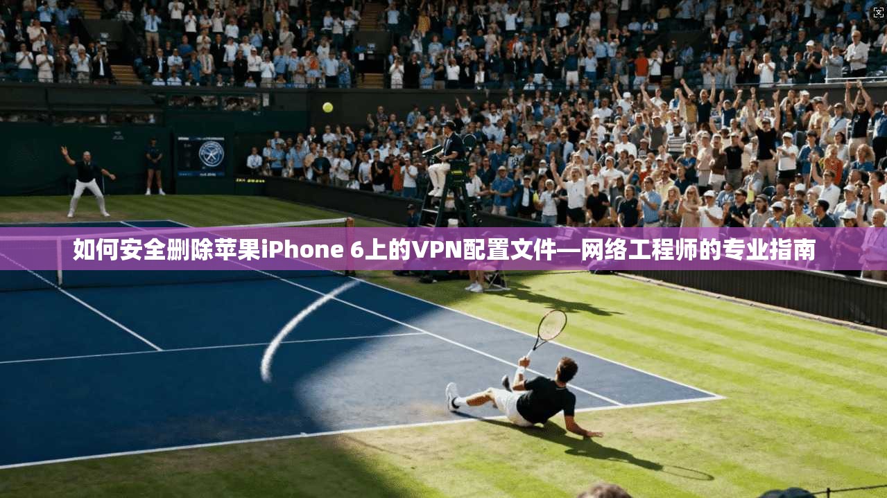 如何安全删除苹果iPhone 6上的VPN配置文件—网络工程师的专业指南