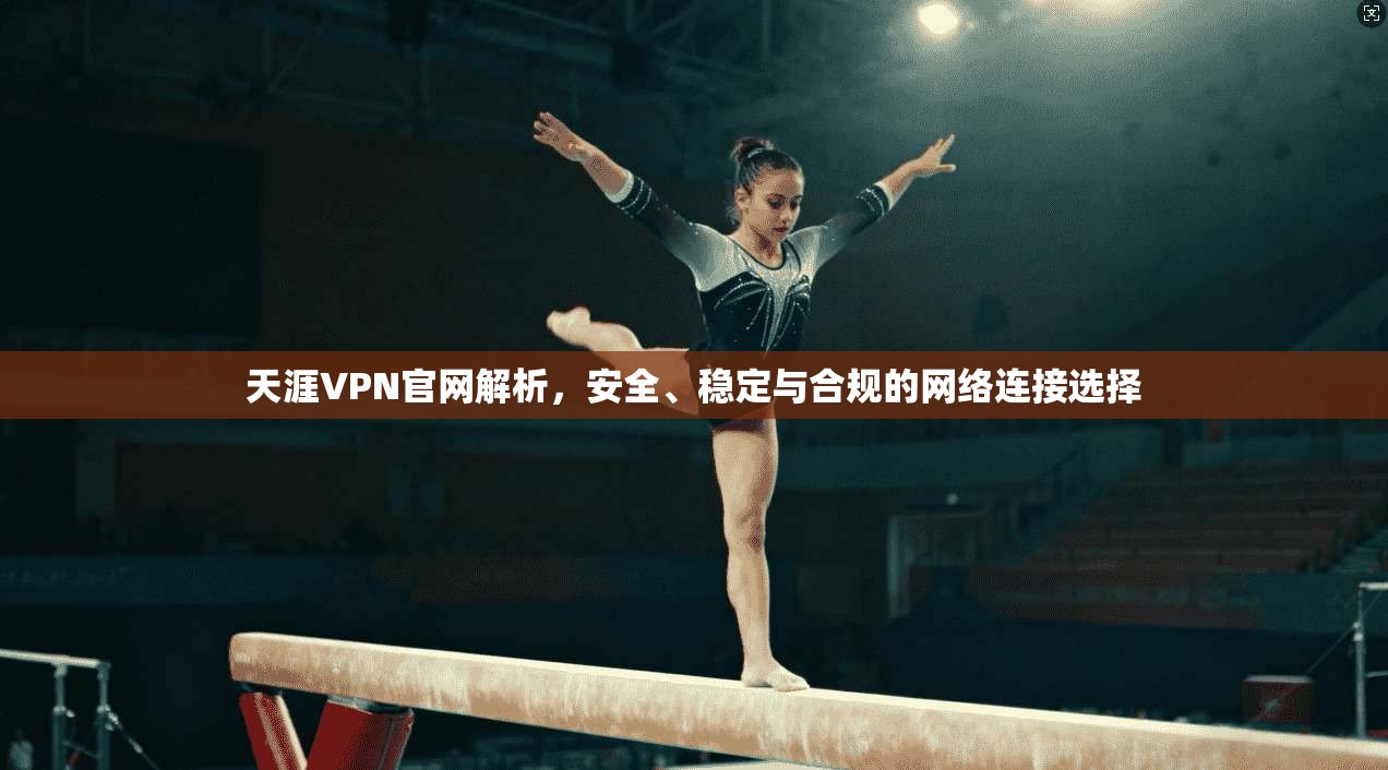 天涯VPN官网解析，安全、稳定与合规的网络连接选择