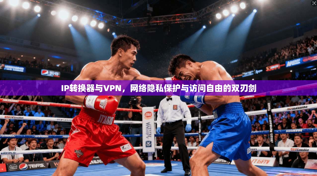 IP转换器与VPN，网络隐私保护与访问自由的双刃剑