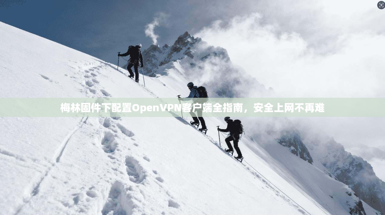梅林固件下配置OpenVPN客户端全指南，安全上网不再难