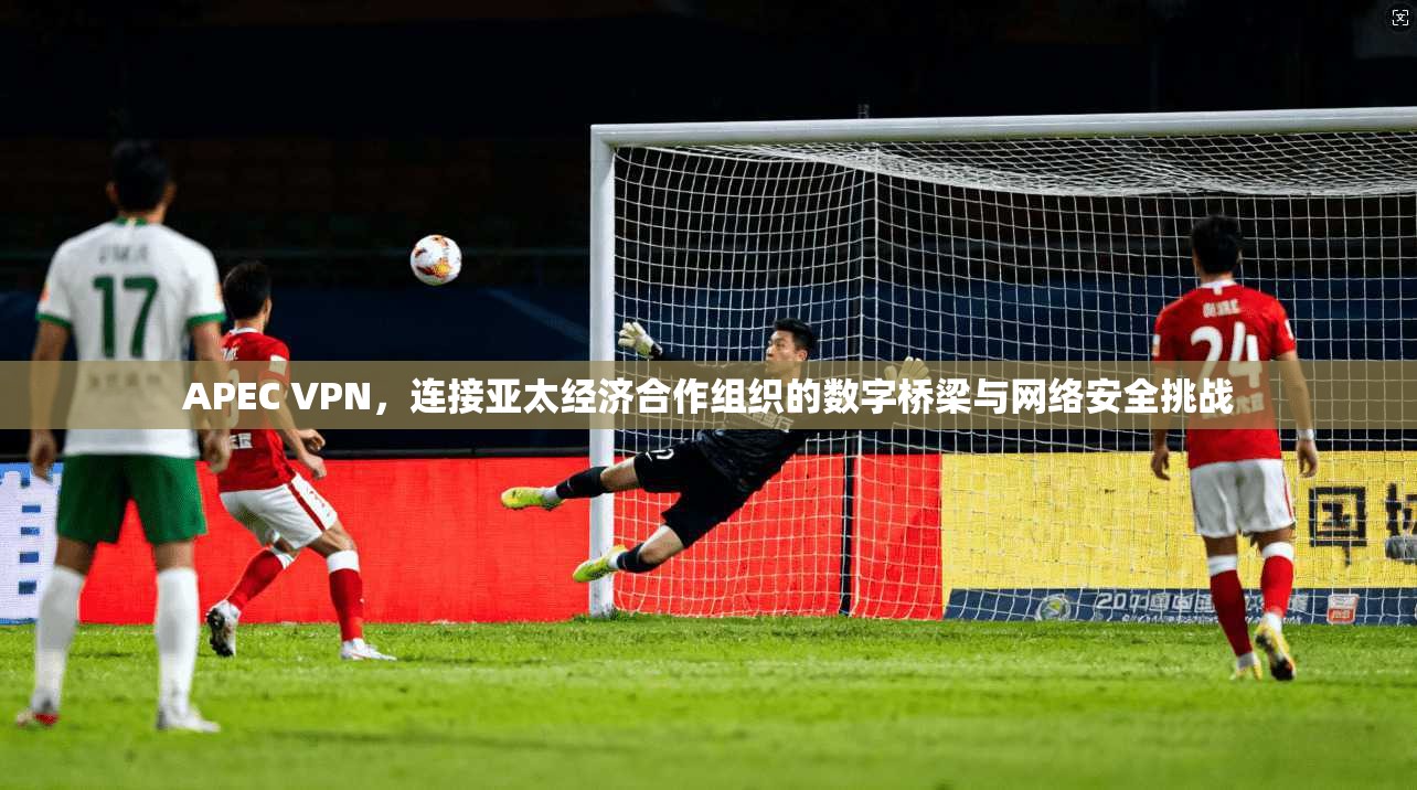 APEC VPN，连接亚太经济合作组织的数字桥梁与网络安全挑战
