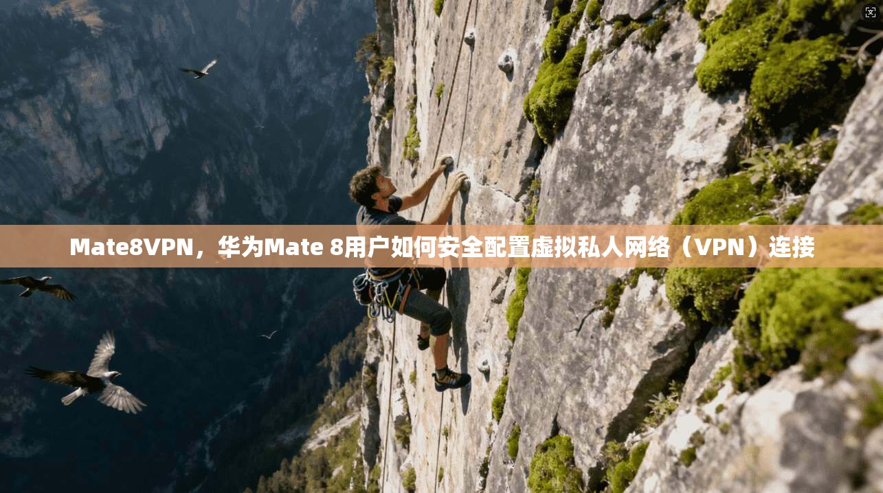 Mate8VPN，华为Mate 8用户如何安全配置虚拟私人网络（VPN）连接