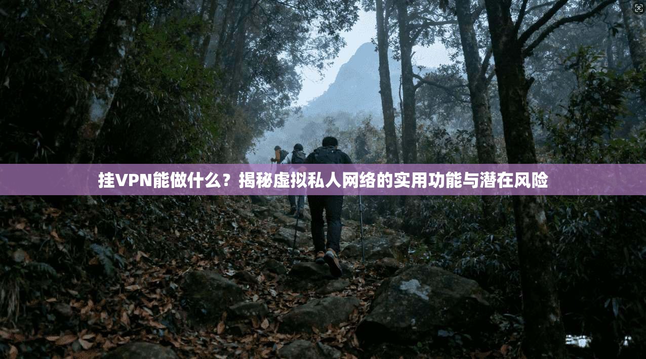 挂VPN能做什么？揭秘虚拟私人网络的实用功能与潜在风险