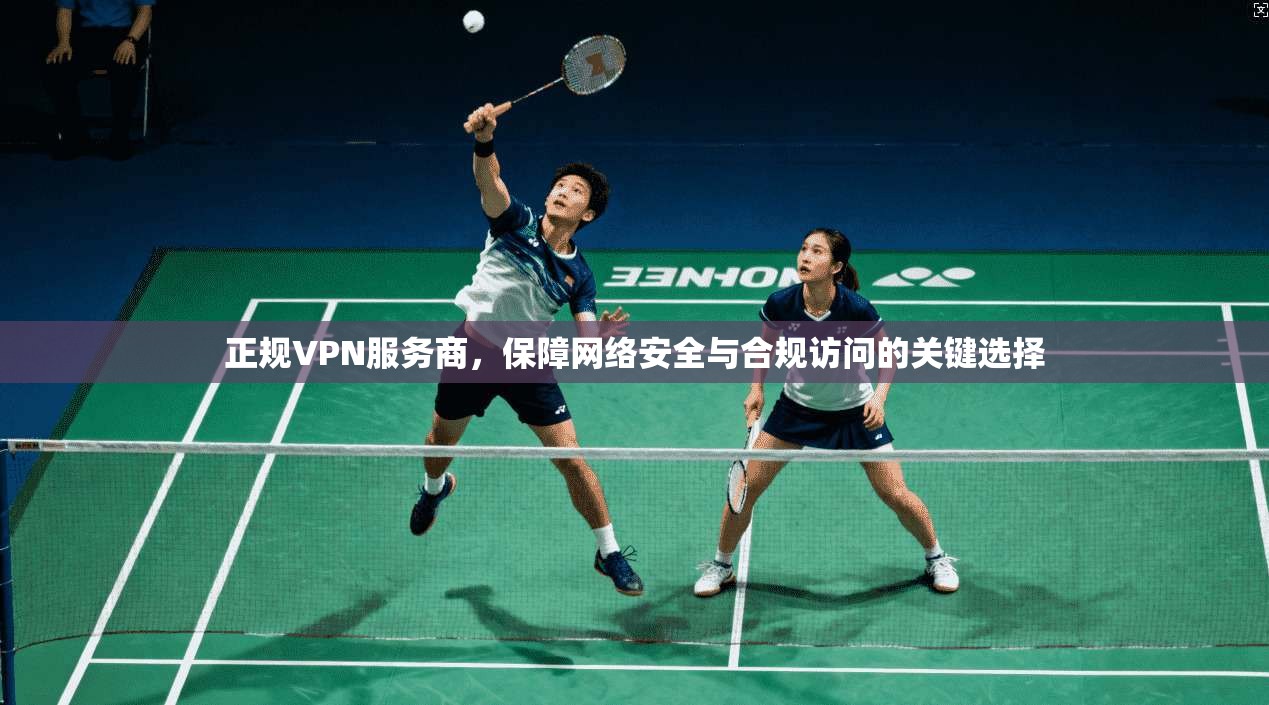 正规VPN服务商，保障网络安全与合规访问的关键选择