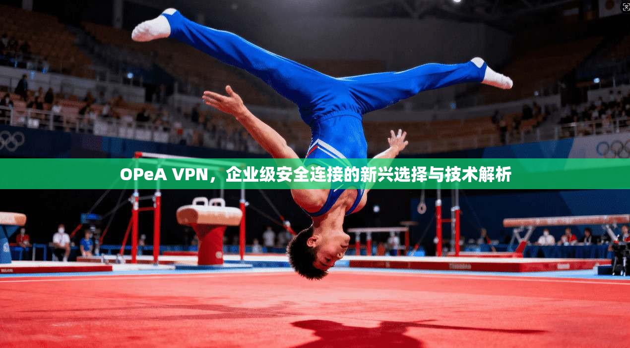 OPeA VPN，企业级安全连接的新兴选择与技术解析