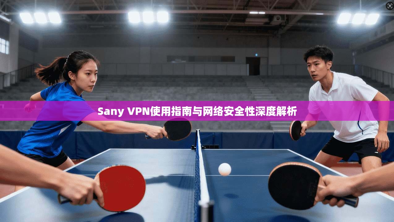 Sany VPN使用指南与网络安全性深度解析