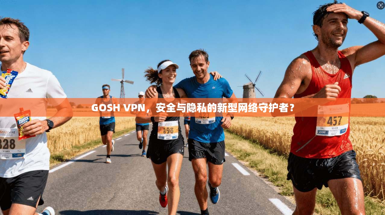 GOSH VPN，安全与隐私的新型网络守护者？