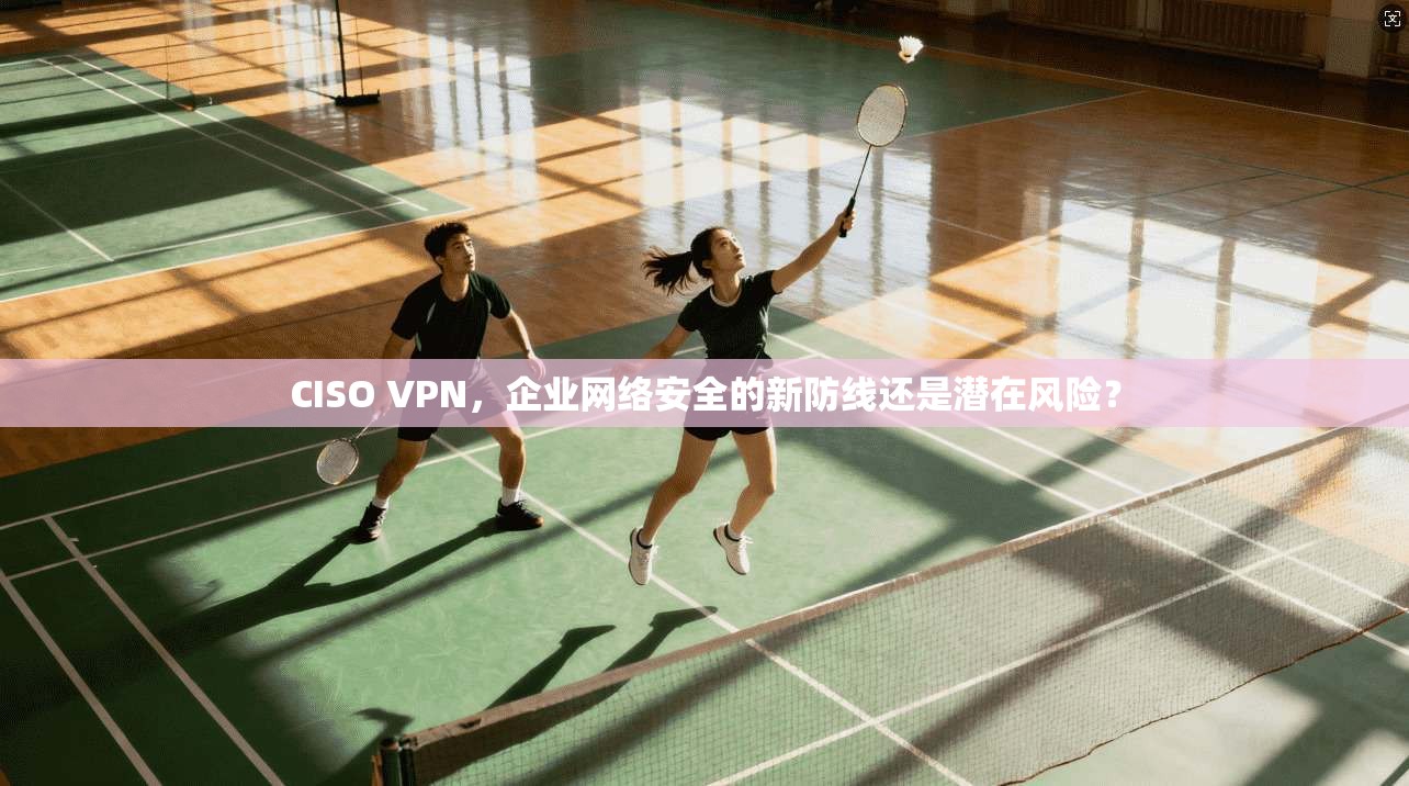 CISO VPN，企业网络安全的新防线还是潜在风险？