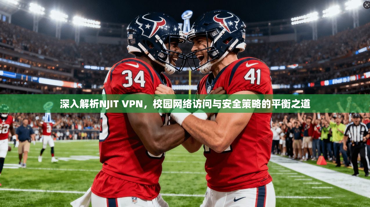 深入解析NJIT VPN，校园网络访问与安全策略的平衡之道