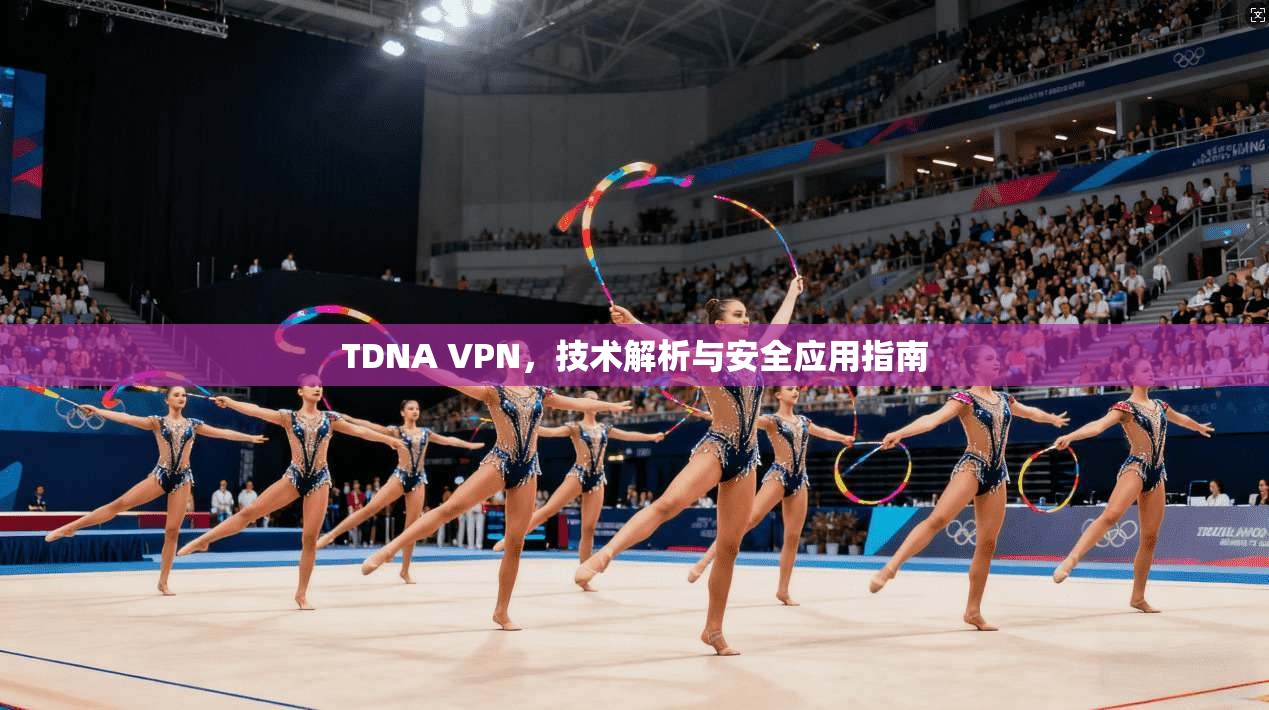 TDNA VPN，技术解析与安全应用指南