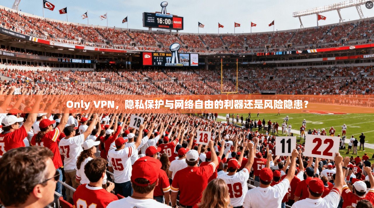 Only VPN，隐私保护与网络自由的利器还是风险隐患？