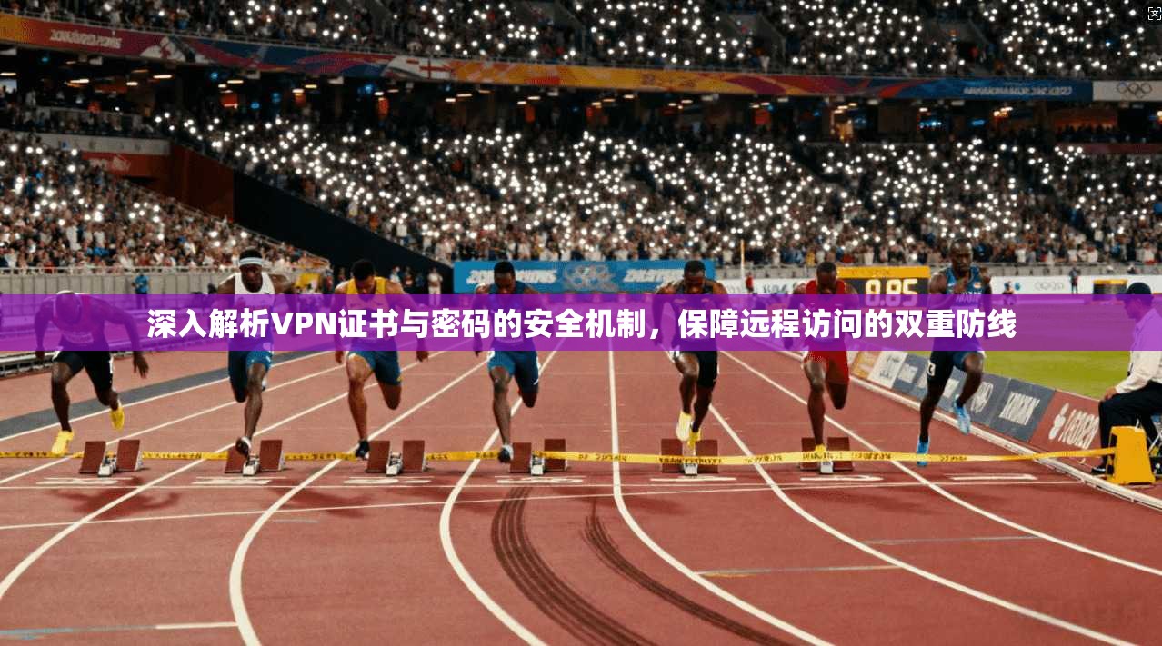 深入解析VPN证书与密码的安全机制，保障远程访问的双重防线