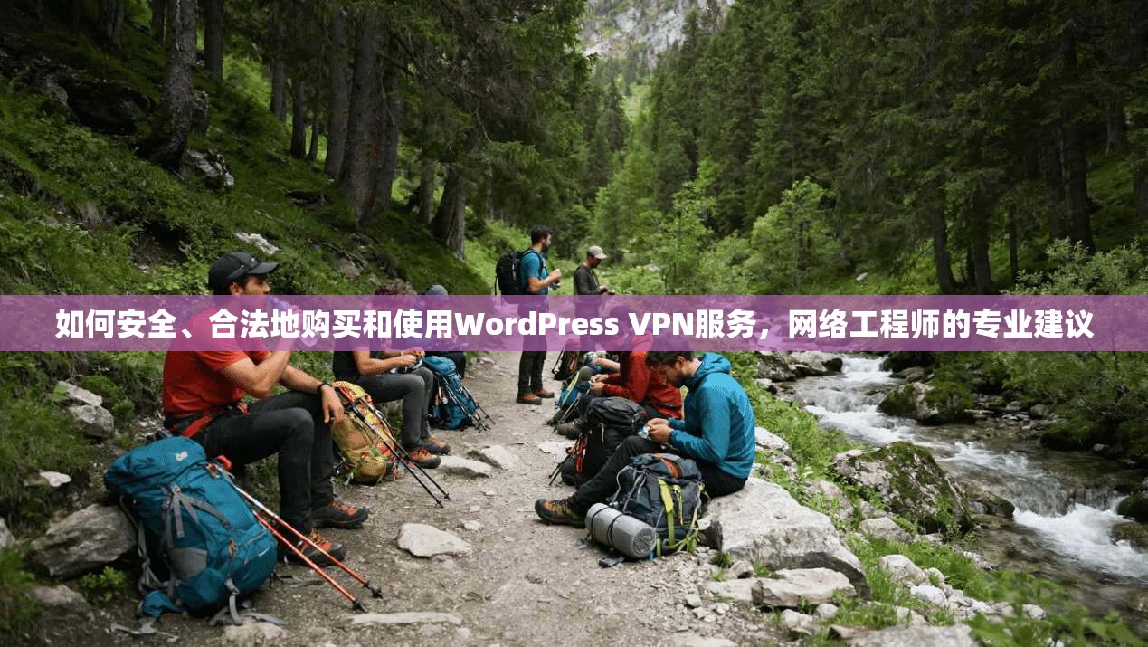 如何安全、合法地购买和使用WordPress VPN服务，网络工程师的专业建议