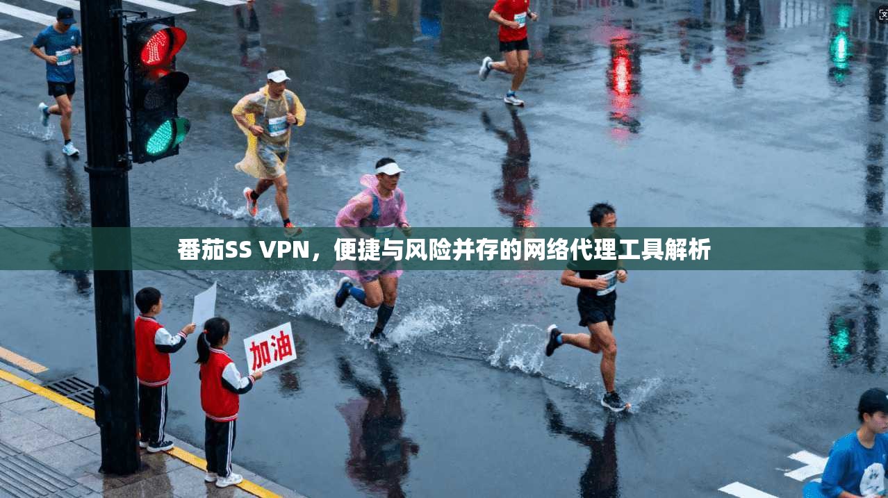 番茄SS VPN，便捷与风险并存的网络代理工具解析