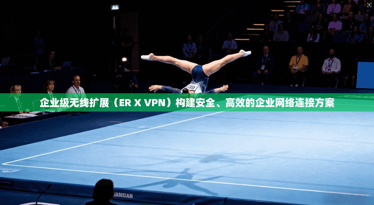 企业级无线扩展（ER X VPN）构建安全、高效的企业网络连接方案