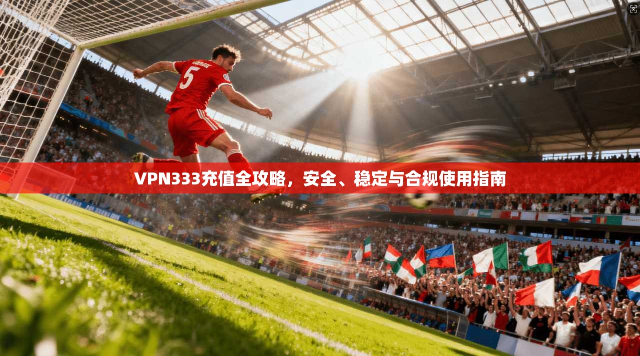VPN333充值全攻略，安全、稳定与合规使用指南