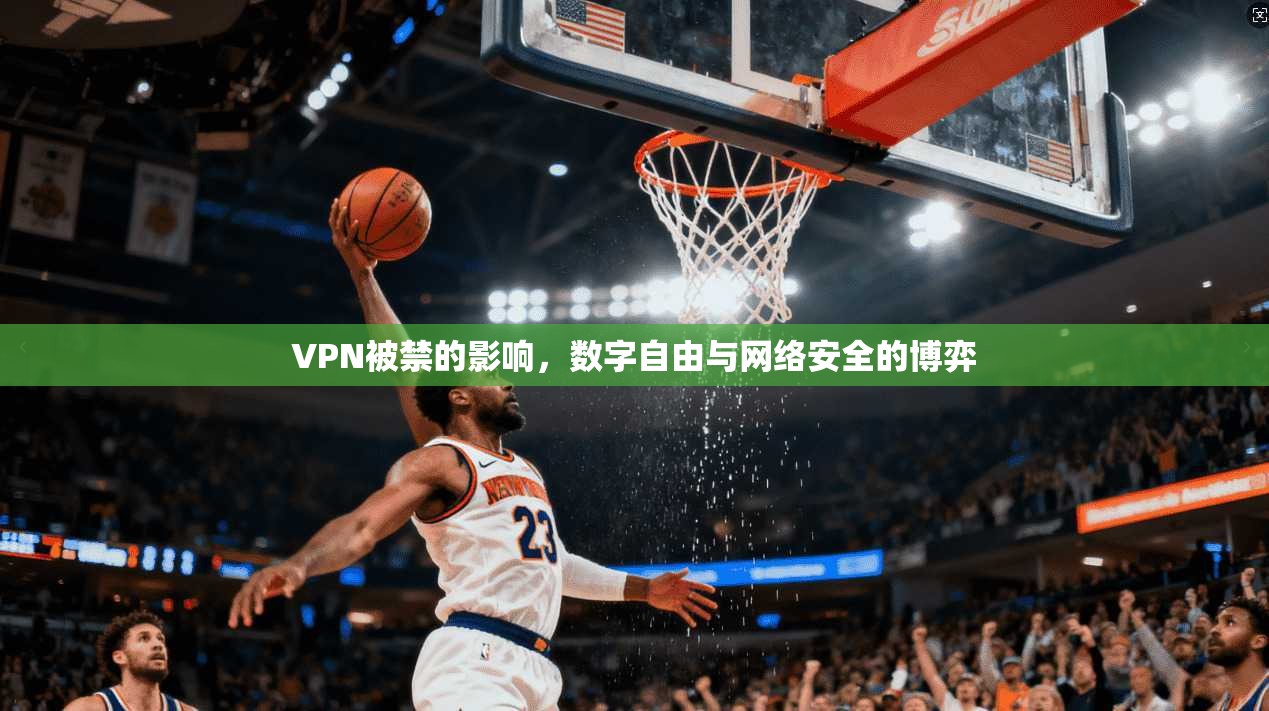 VPN被禁的影响，数字自由与网络安全的博弈