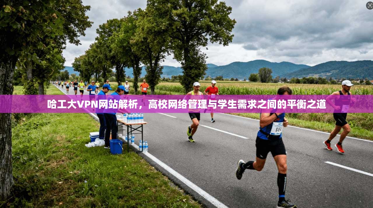 哈工大VPN网站解析，高校网络管理与学生需求之间的平衡之道