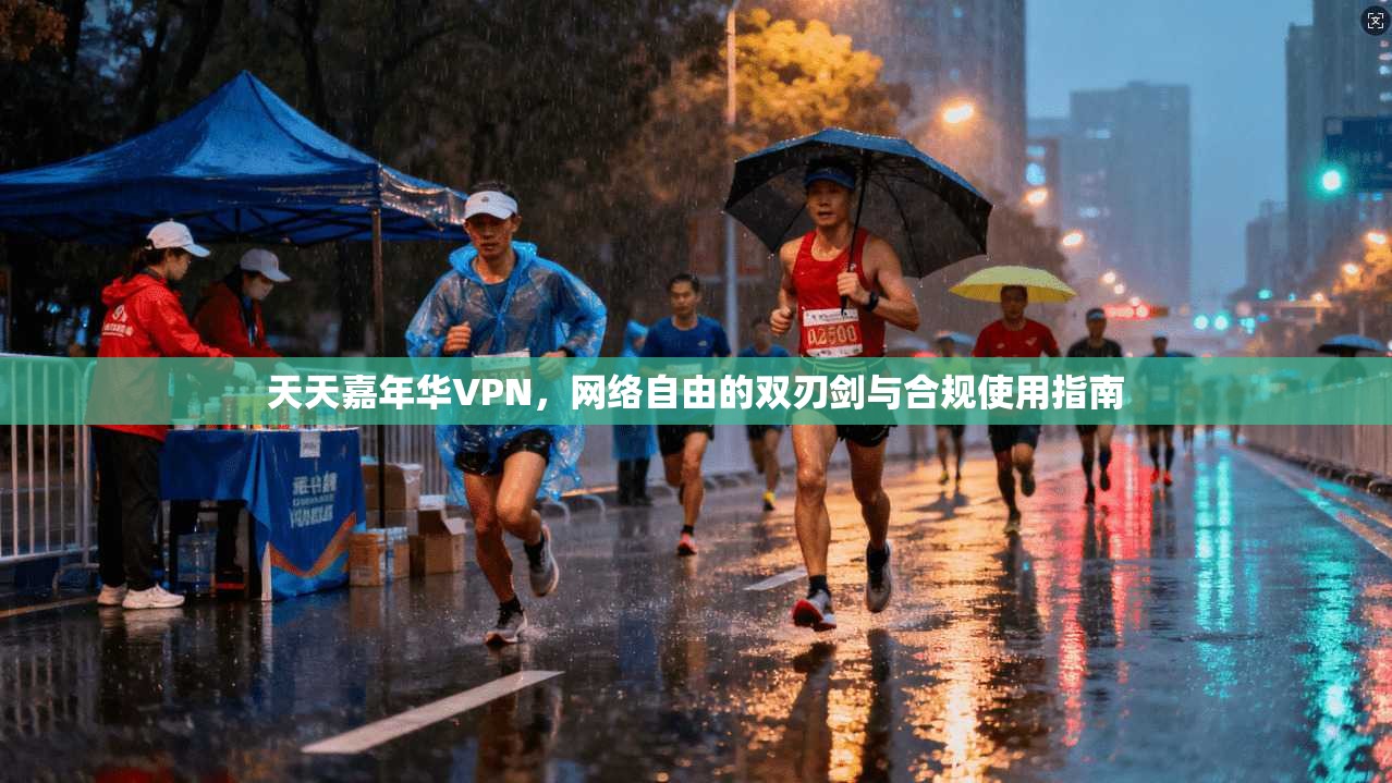 天天嘉年华VPN，网络自由的双刃剑与合规使用指南