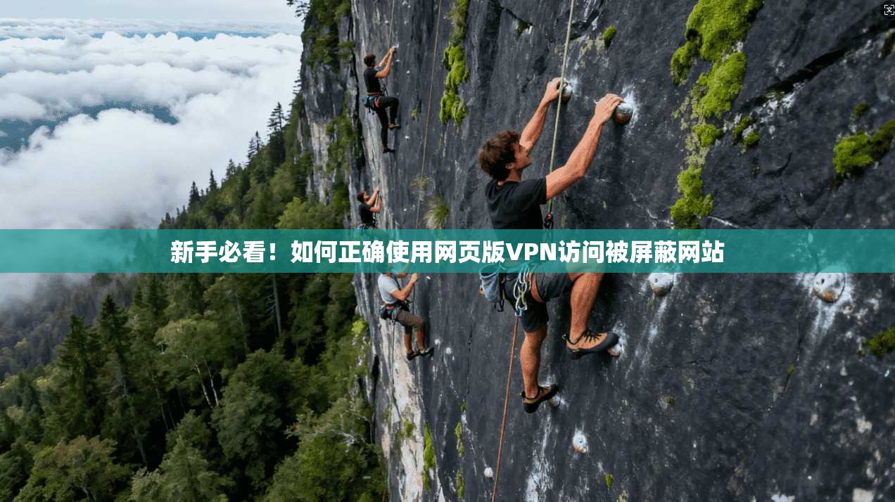 新手必看！如何正确使用网页版VPN访问被屏蔽网站