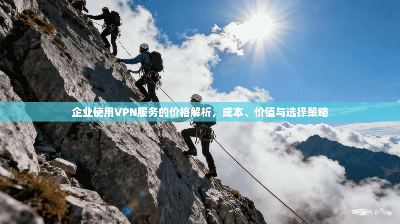 企业使用VPN服务的价格解析，成本、价值与选择策略