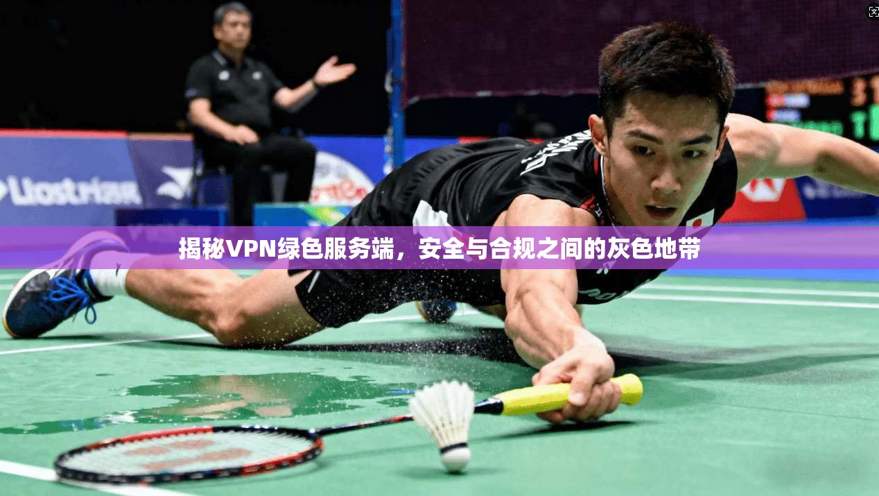 揭秘VPN绿色服务端，安全与合规之间的灰色地带